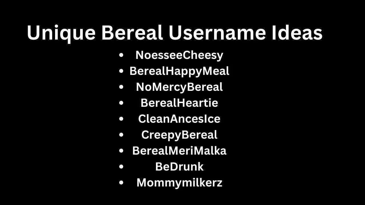 137+ Unique Bereal Username Ideas to Stand Out Online{Funny,cool,attractive}