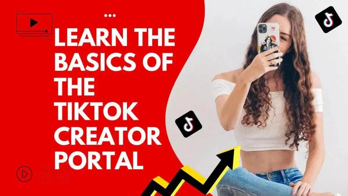 The Basics of the TikTok Creator Portal in 2023