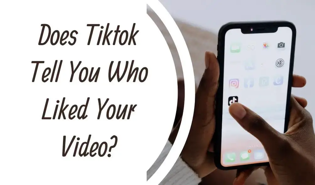 Does Tiktok Tell You Who Liked Your Video?;TikTok Me option;;;Instagram
