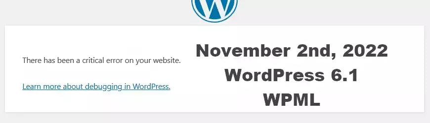 There has been a critical error on this website wmpl wordpress 6.1 november 2nd 2022