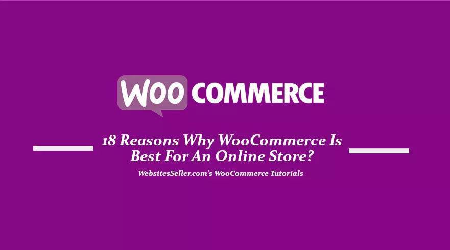 18 Reasons Why WooCommerce Is Best For An Online Store?